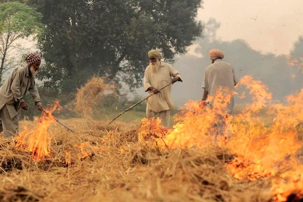 在巴基斯坦，遏制农作物燃烧的“快乐”解决方案取得成功